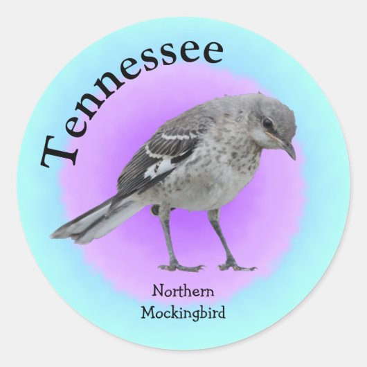 Tennessee Ronde Sticker (Voorkant)