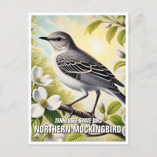 Tennessee State Bird Northern Mockingbird Briefkaart (Voorkant)