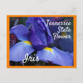 Tennessee State Flower TN Iris Briefkaart