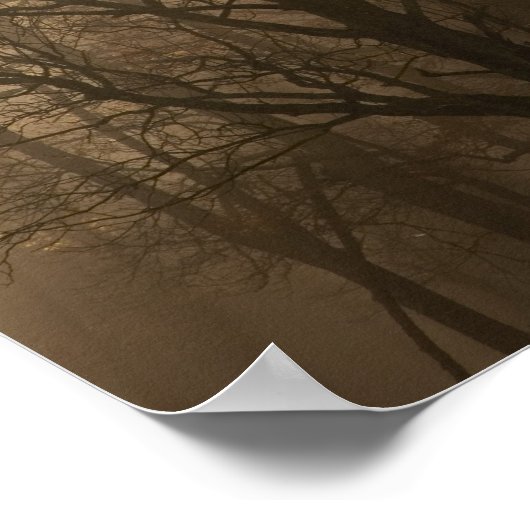 Tennessee Trees in mist | Grote Smoky Mountain Poster (Hoek)