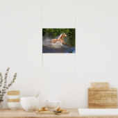 Tennessee Walker die door water loopt Poster (Keuken)