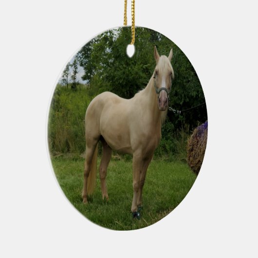 Tennessee Walking Horse ornement (Droite)