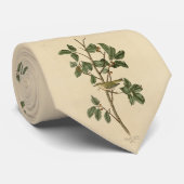 Tennessee Warbler, uit de Amerikaanse vogels van A Stropdas (Opgerold)