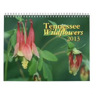 Tennessee Wildbloemen 2013 Kalender