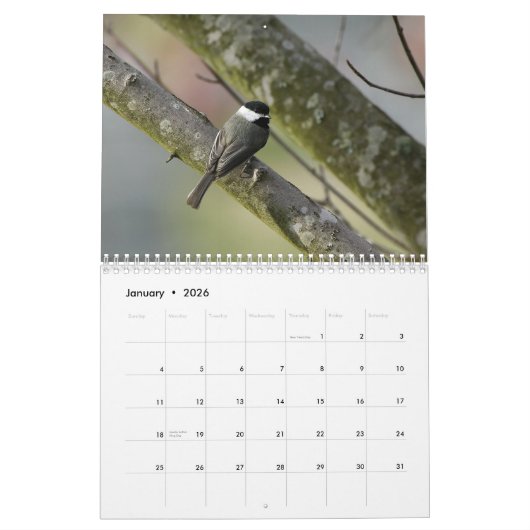 Tennessee Wildlife 2010 Kalender (Jan 2026)