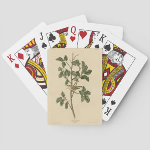 Tennessee Zanger, uit Audubon's Birds of America Pokerkaarten