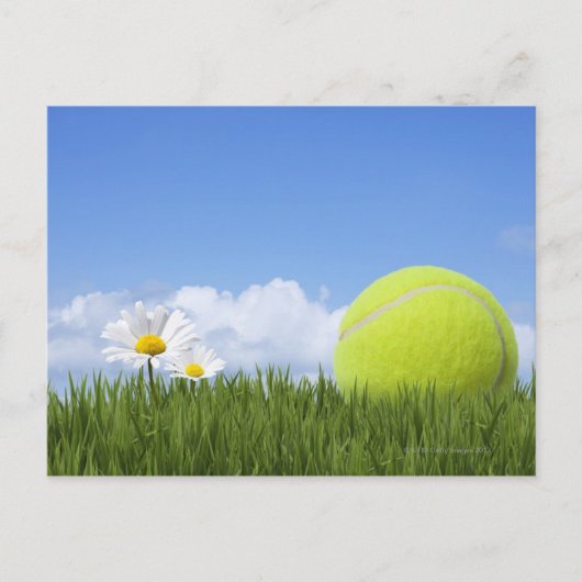 Tennis Balls Briefkaart (Voorkant)