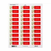 Tennis étiquettes de vacances retour adresse (Feuille entière)