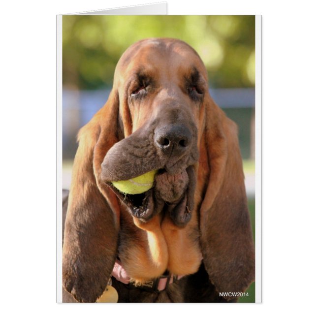 Tennis, iemand? (Voorkant)