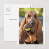 Tennis, iemand? briefkaart (Voorkant / Achterkant)