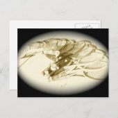 TENNIS RACKETS BRIEFKAART (Voorkant / Achterkant)