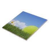Tennisballen Tegeltje (Zijkant)