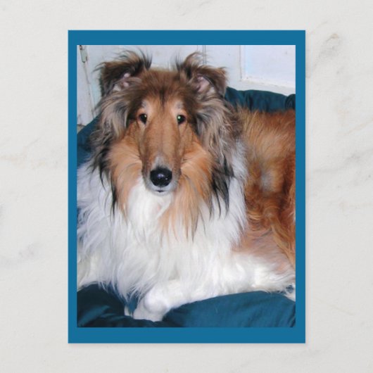 Tennyson-A collie Briefkaart (Voorkant)