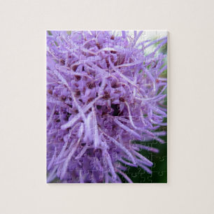 Tentacle Spider Violet Flower Legpuzzel