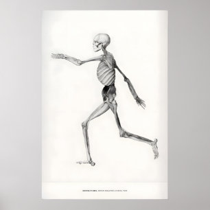 Tentoonstelling Kunstprint George Stubbs Menselijk Poster