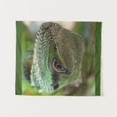 Tenture Agama, lézard (Devant (Horizontal))