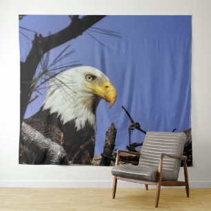 Tenture Aigle à tête blanche mâle dans le nid