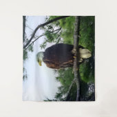 Tenture Aigle mûre perché dans l'arbre (Devant)