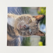 Tenture Ajouter une Personnaliser photo de chat (Devant (Horizontal))