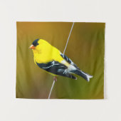 Tenture American Goldfinch - Photo originale (Devant (Horizontal))