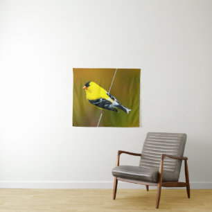 Tenture American Goldfinch - Photo originale
