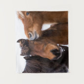 Tenture Amis islandais du cheval, Islande (Devant)