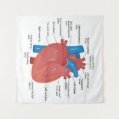 Tenture Anatomie cardiaque (Devant (Horizontal))