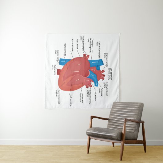 Tenture Anatomie cardiaque (En situation (horizontale))
