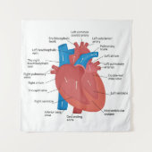 Tenture Anatomie cardiaque (Devant)