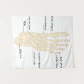 Tenture Anatomie des os de pieds (Devant (Horizontal))
