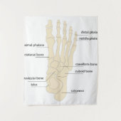 Tenture Anatomie des os de pieds (Devant)