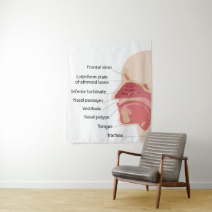 Tenture Anatomie du nez humain
