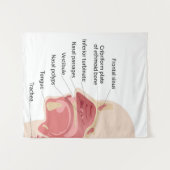 Tenture Anatomie du nez humain (Devant (Horizontal))