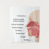 Tenture Anatomie du nez humain (Devant)