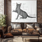 Tenture Anatomy of a Cat