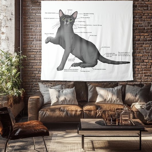 Tenture Anatomy of a Cat