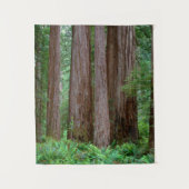 Tenture Anciens Séquoias Géants (Devant)