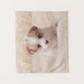 Tenture Animaux de bébés cutest | Baby Corgi (Devant)