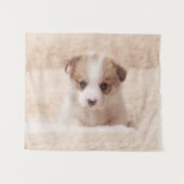 Tenture Animaux de bébés cutest | Baby Corgi (Devant (Horizontal))