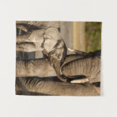 Tenture Animaux de bébés cutest | Baby Elephant & Mama (Devant (Horizontal))