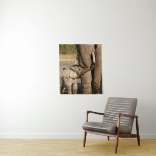 Tenture Animaux de bébés cutest Baby Elephant & Mama