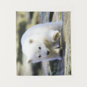 Tenture Animaux de bébés cutest | Bébé Ours polaire (Devant)