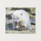 Tenture Animaux de bébés cutest | Bébé Ours polaire (Devant (Horizontal))