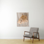 Tenture Animaux de bébés cutest | British Longhair Kitten (En situation)