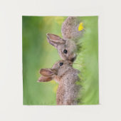 Tenture Animaux de bébés cutest | Bunny Kiss (Devant)