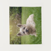 Tenture Animaux de bébés cutest | Cairn Terrier Dog (Devant)