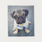 Tenture Animaux de bébés cutest | Carlin bébé (Devant)