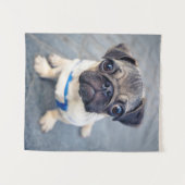 Tenture Animaux de bébés cutest | Carlin bébé (Devant (Horizontal))