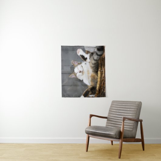 Tenture Animaux de bébés cutest | Chat dans le lit (En situation)