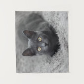 Tenture Animaux de bébés cutest | Chat gris (Devant)